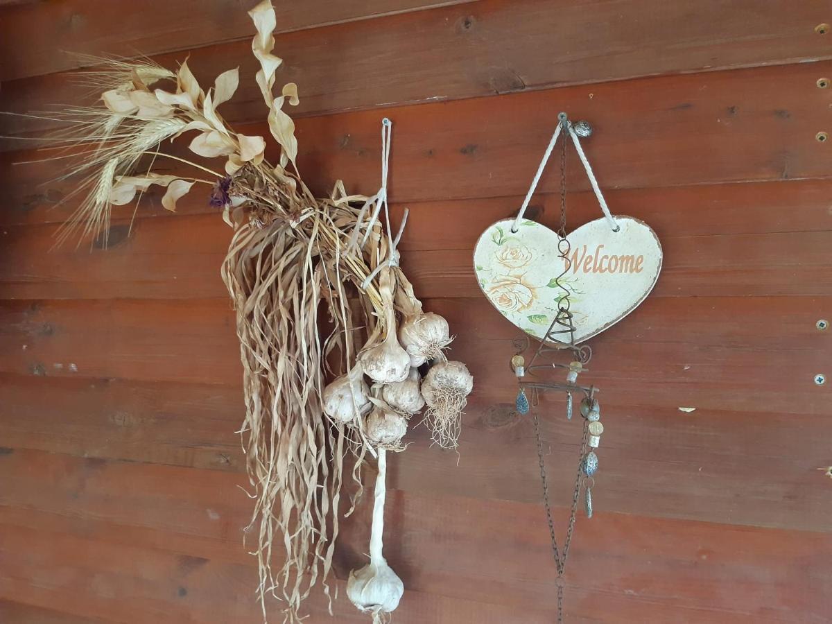 בקתת עץ בחורש במנות - דום גיאודזי - Wooden Cabin In Manot Exterior foto