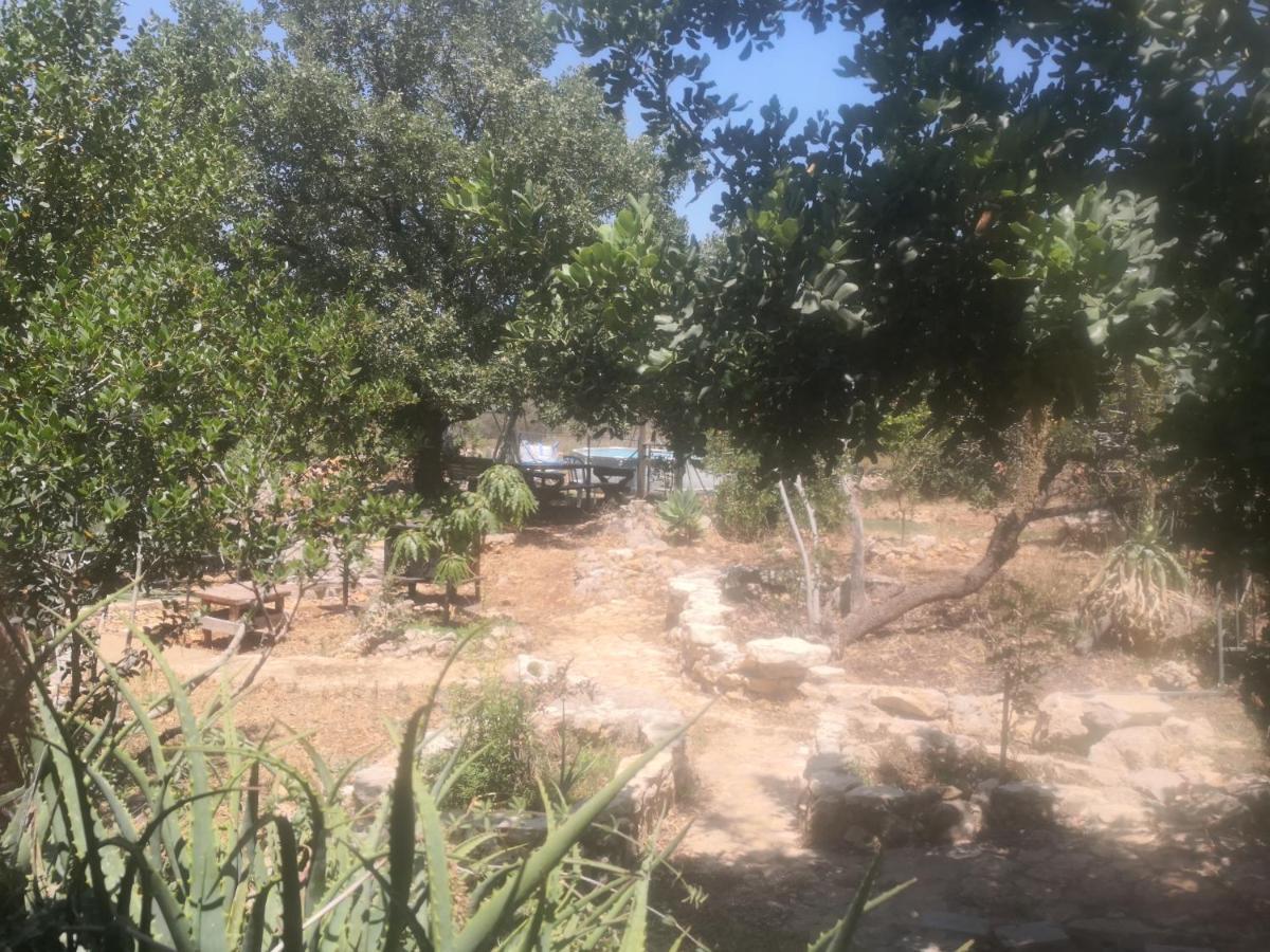 בקתת עץ בחורש במנות - דום גיאודזי - Wooden Cabin In Manot Exterior foto